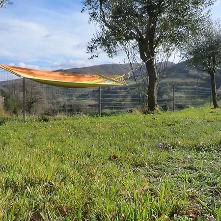 Hébergement de vacances Casalcelso Con Giardino *
